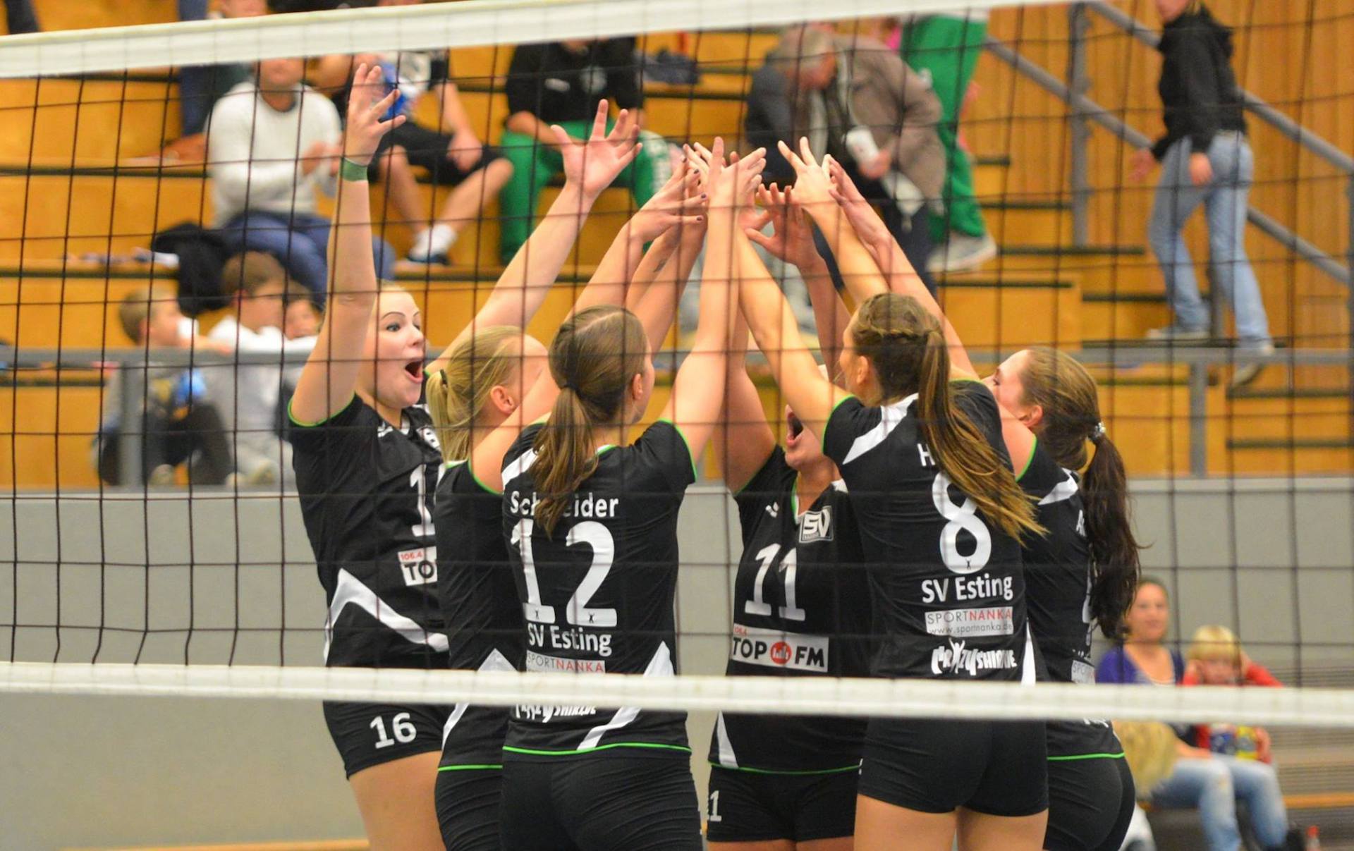 Volleyball