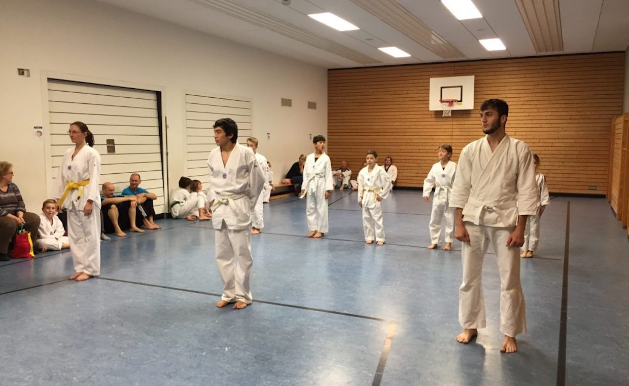 Taekwondo