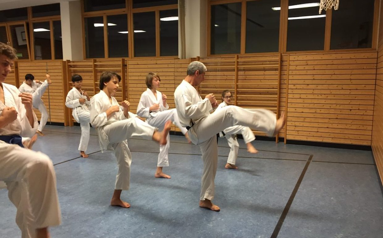 Taekwondo