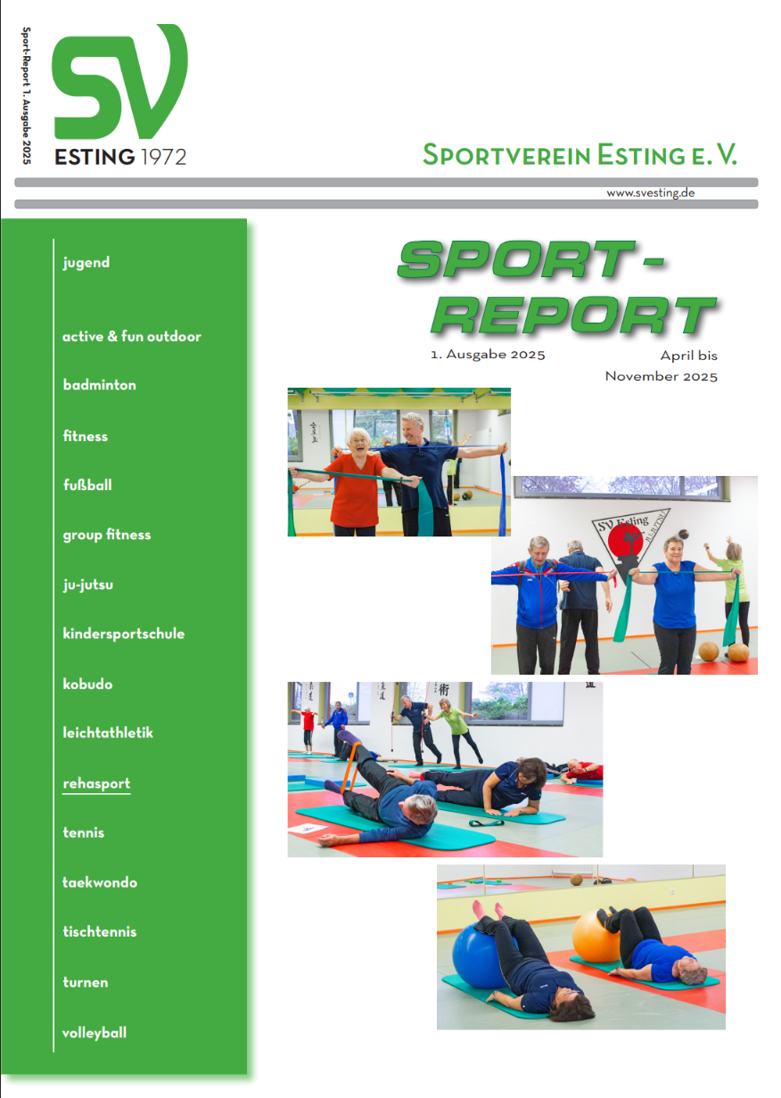 svereport2025-1