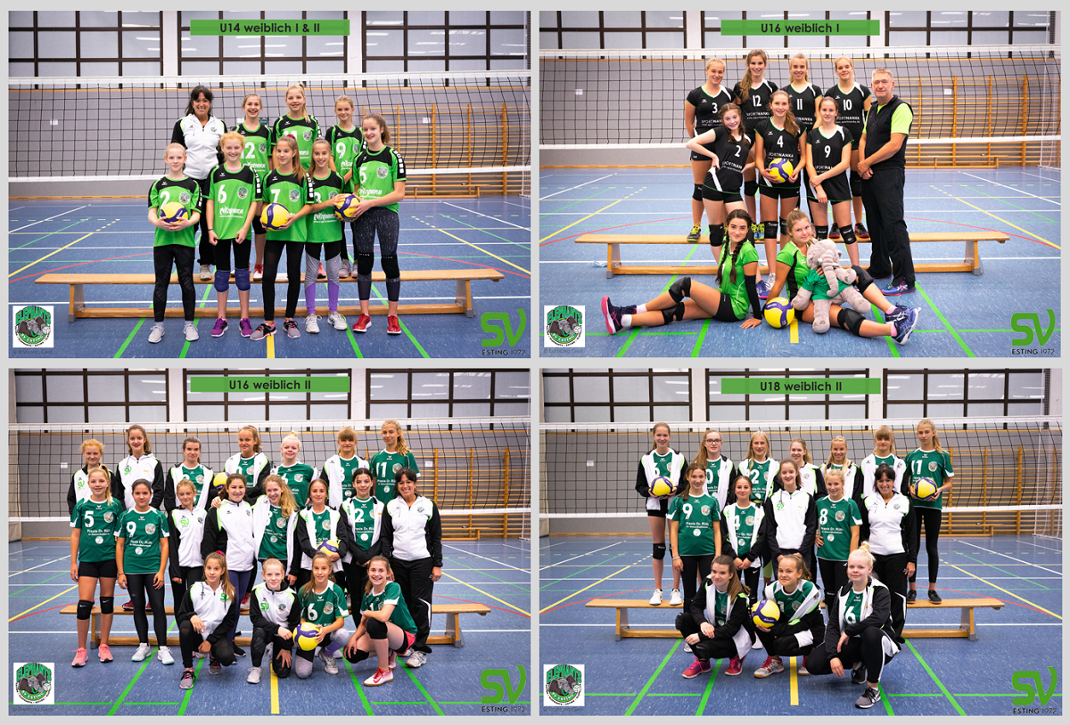Volleyball